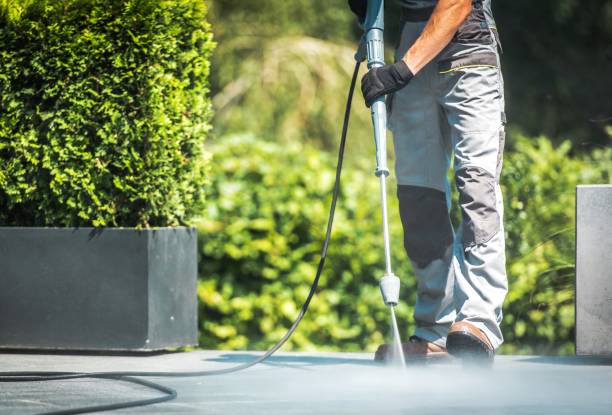 Trusted Birch Run, MI Pressure Washing Services Experts